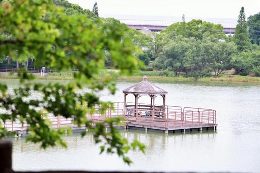 公園の風景 公園の風景の写真