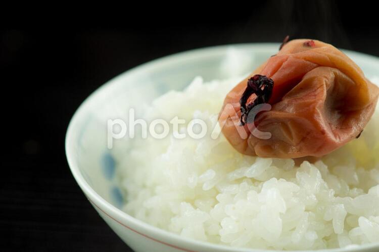 炊き立てご飯と梅干ひとつ ご飯,ごはん,うめぼしの写真素材