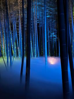 偕楽園 竹林ライトアップ 偕楽園 竹林ライトアップ 竹,ライトアップ,幻想的の写真素材