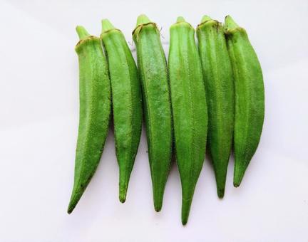 並べたオクラ 並べたオクラ オクラ,おくら,野菜の写真素材