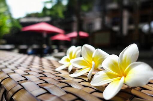 ラタンに置かれたプルメリアと赤い傘 プルメリア,花,ラタンの写真素材