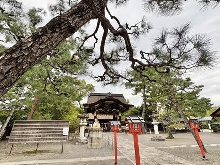 豊国神社　② 豊臣秀吉,豊国神社,方広寺の写真素材