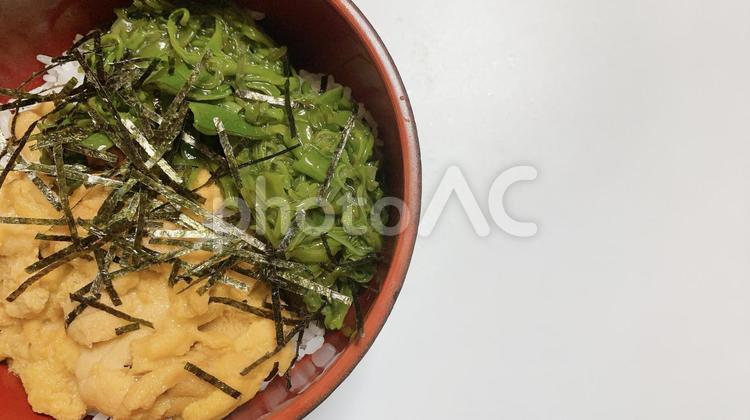 生ウニ丼　海鮮丼　雲丹　料理　イメージ　上からアングル ウニ,生ウニ,雲丹の写真素材