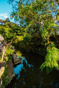 【佐賀】佐賀駅の周辺 佐賀,商店街,街並みの写真素材