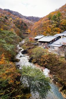 蔵王の紅葉(43) 蔵王,紅葉,秋の写真素材