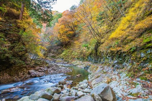 山梨県 西沢渓谷の紅葉 山梨県 西沢渓谷の紅葉 西沢渓谷,山梨県,紅葉の写真素材