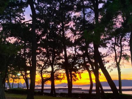 夕暮れの海岸 夕暮れの海岸 自然,夕焼け,海岸の写真素材