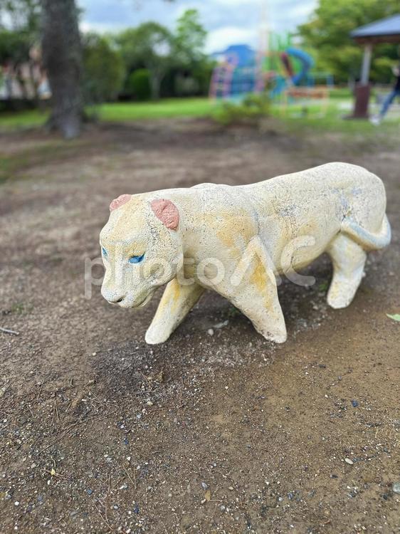 黒潮公園　新宮市三輪崎　遊具 休日,植栽,春の公園の写真素材
