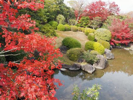 Autumn leaves, पतझड़, शरद ऋतु रंग, लाल, JPG