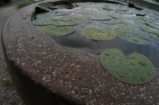 Water basin, JPG Water basin, JPG