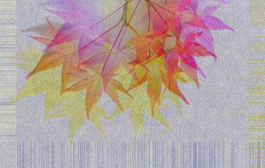紅葉もみじ葉の壁紙・背景素材 紅葉もみじ葉の壁紙・背景素材の写真
