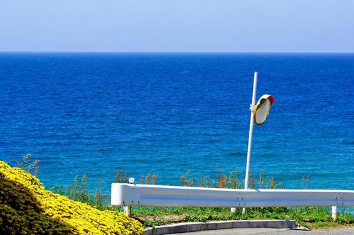 夏のクラクション 夏のクラクション 夏,海,夏のクラクションの写真素材