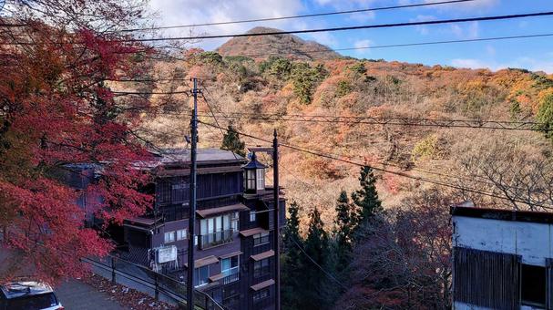 伊香保神社からの眺め 伊香保神社からの眺め 伊香保神社,神社,山の写真素材