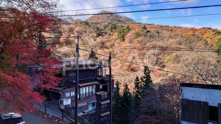 伊香保神社からの眺め 伊香保神社,神社,山の写真素材