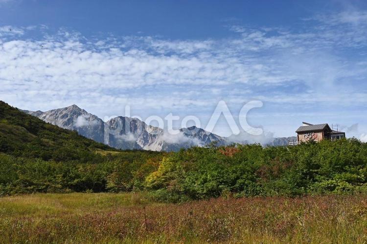 栂池自然園から臨む白馬岳 栂池自然園,白馬岳,白馬乗鞍岳の写真素材