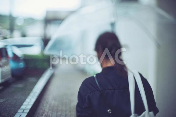 雨傘をさす女性の後ろ姿 女性,雨の日,人物の写真素材