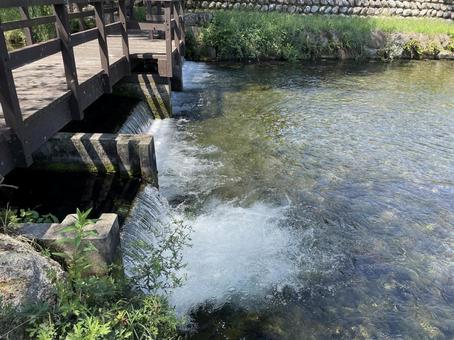 安曇野わさび田湧水群 安曇野わさび田湧水群の写真