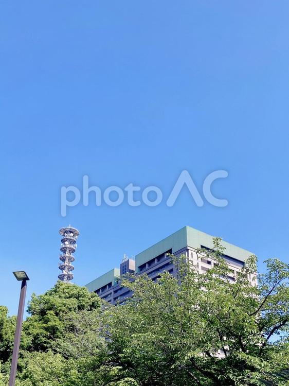 東京風景・防衛省 防衛省,国防,行政機関の写真素材