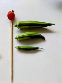 鯉のぼりオクラ オクラ,野菜,緑の写真素材