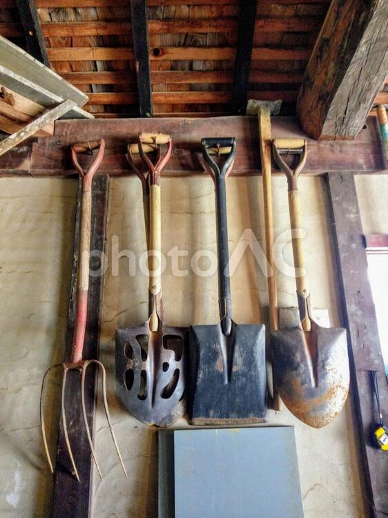 農家の納屋にて！農作業で使用するスコップ(scoop) スコップ,農家,納屋の写真素材