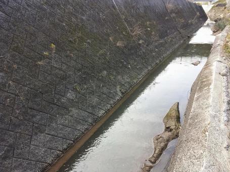 水路に流れ着いた流木 水路に流れ着いた流木 水路,流木,河川の写真素材