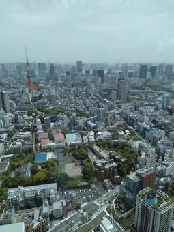 東京シティビューからの景色 東京シティビューからの景色 東京シティビュー,六本木ヒルズ森タワー,六本木の写真素材