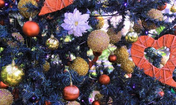 クリスマス飾り展示/しまね花の郷 クリスマス飾り展示/しまね花の郷 クリスマス,クリスマス飾り,クリスマスツリーの写真素材