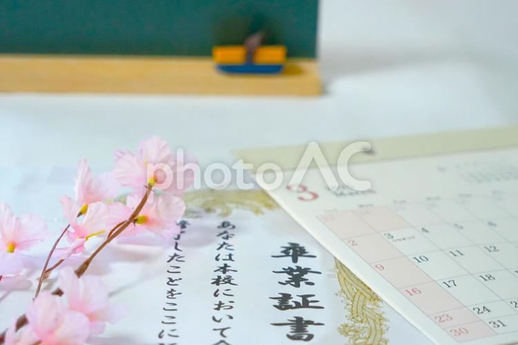 卒業証書と桜と黒板と 卒業,卒業証書,桜の写真素材
