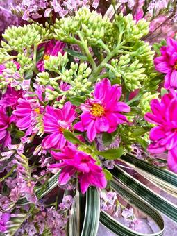 秋のアレンジメント 秋のアレンジメント アスター,花,アレンジメントの写真素材