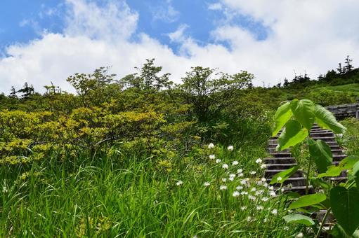 Photo, miao mountain, hundred mountains, watazuge, 