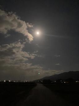 月明かりの一本道 月明かりの一本道の写真