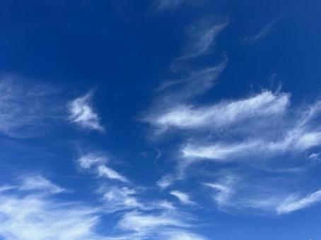 秋の空 秋の空の写真