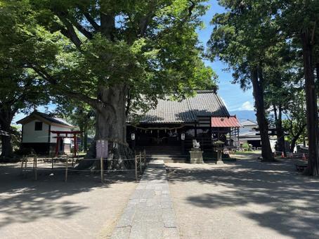 白鳥神社 白鳥神社の写真