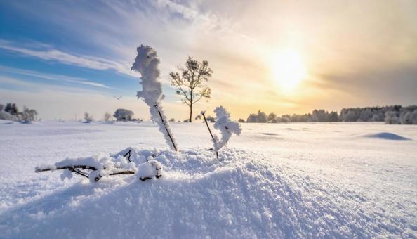 美しい雪景色 美しい雪景色の写真