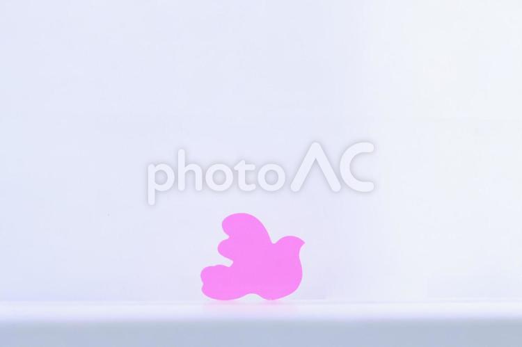 マゼンタの鳩のアクリルピース_2 鳥,カラフル,ピースの写真素材