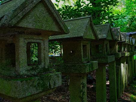 森の中の灯篭 森の中の灯篭の写真