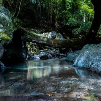 秘境の川 秘境の川の写真