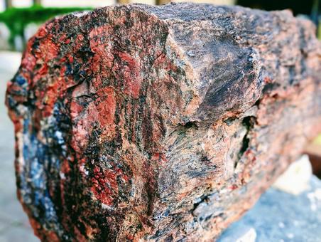 Photo, guihua wood, keikaboku, fossil wood, 