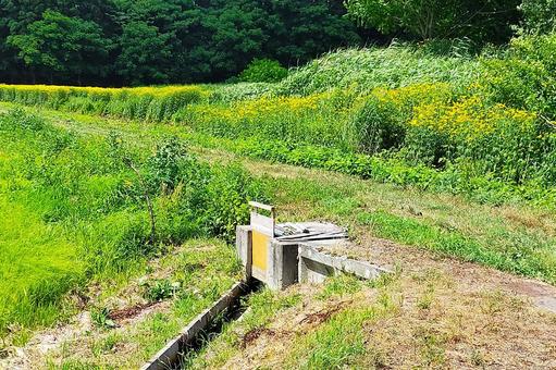 2025年7月の里山20 2025年7月の里山20の写真