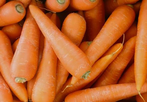 ニンジン ニンジン,人参,キャロットの写真素材