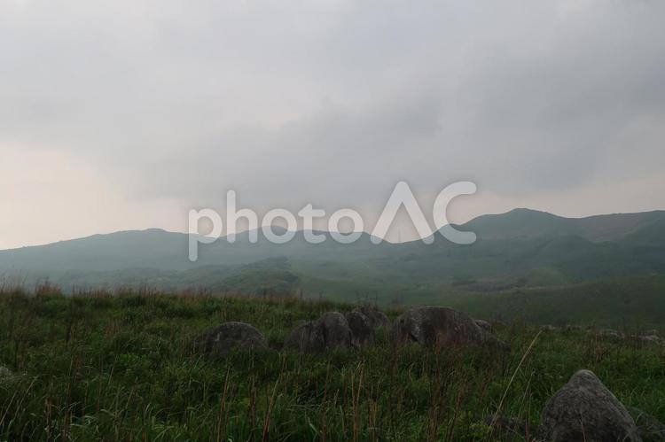 雨の日の靄がかかった平尾台 平尾台,北九州,観光の写真素材