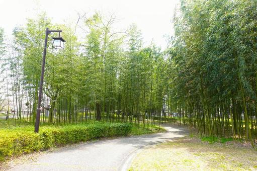 御油松並木公園 御油松並木公園の写真