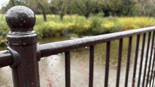 雨の日の風景の写真