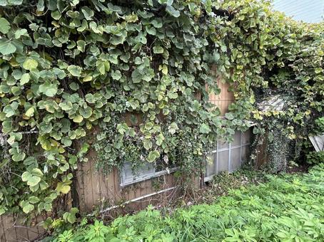 廃屋 家,廃屋,廃墟の写真素材