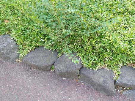歩道 歩道の写真