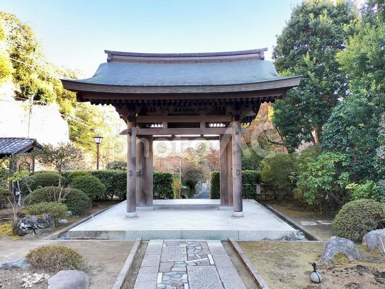 鎌倉　扇谷山「海蔵寺」境内から見た山門 海蔵寺,山門,扇谷山の写真素材