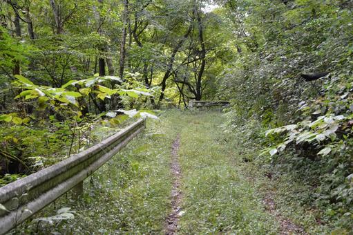 荒れた林道 林道,山道,道の写真素材