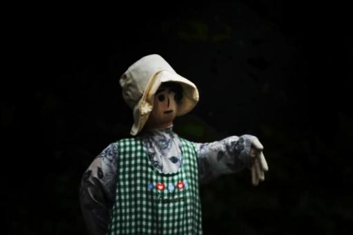 Photo, a scarecrow, scarecrow, doll, 