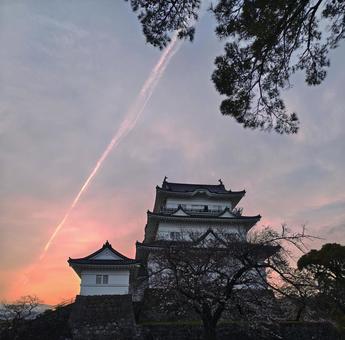 小田原城 小田原城の写真