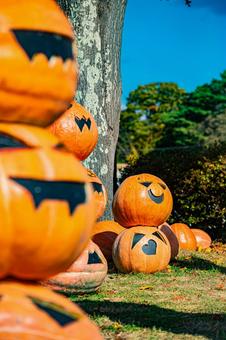 北海道　大沼公園　ハロウィンの風景 ハロウィン,カボチャ,秋の写真素材